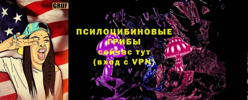 MEGA вход  Малаховка  Псилоцибиновые грибы MAGIC MUSHROOMS 